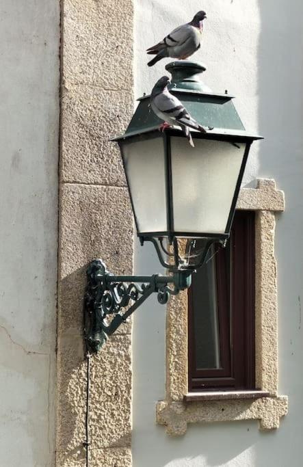 Loft In The Historic Center Of Oporto Downtown Daire Dış mekan fotoğraf